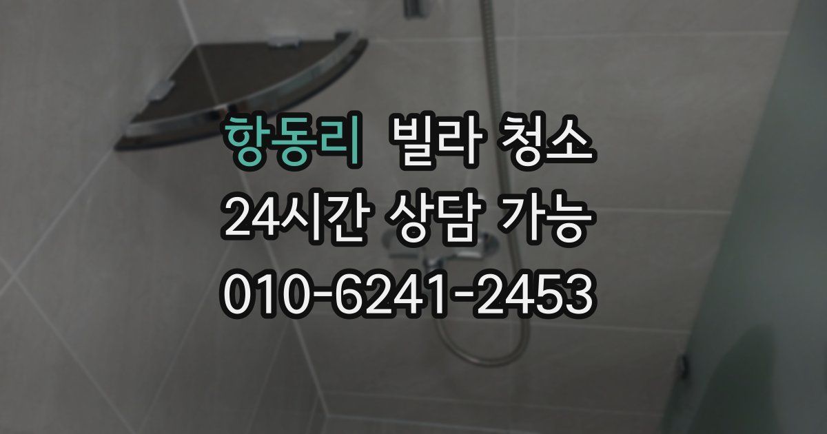 항동리 빌라 청소