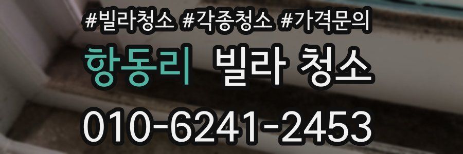 항동리 빌라 청소