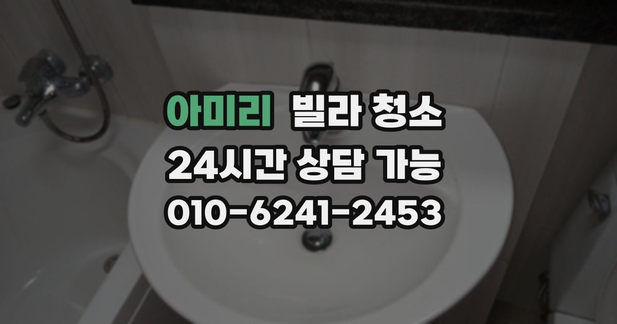 아미리 빌라 청소