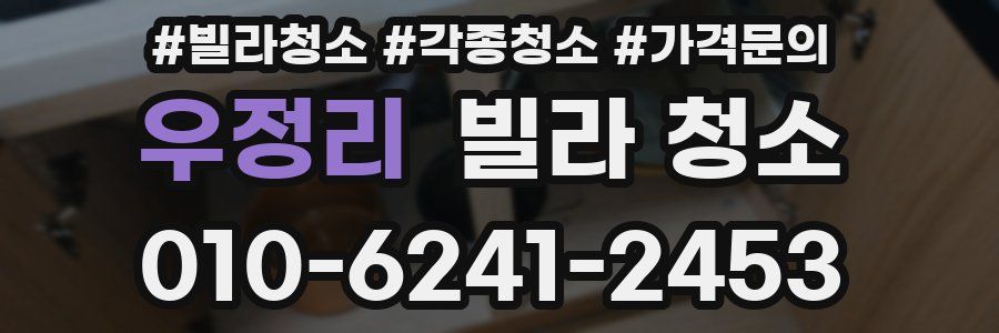 우정리 빌라 청소