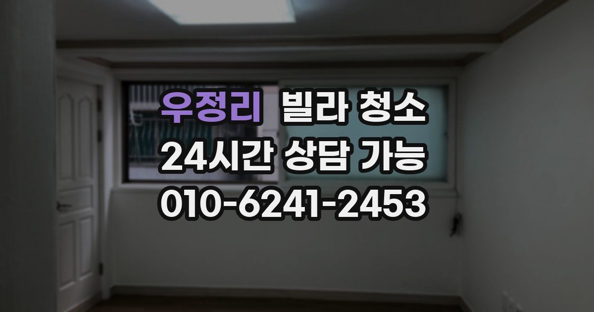 우정리 빌라 청소