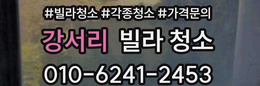 강서리 빌라 청소