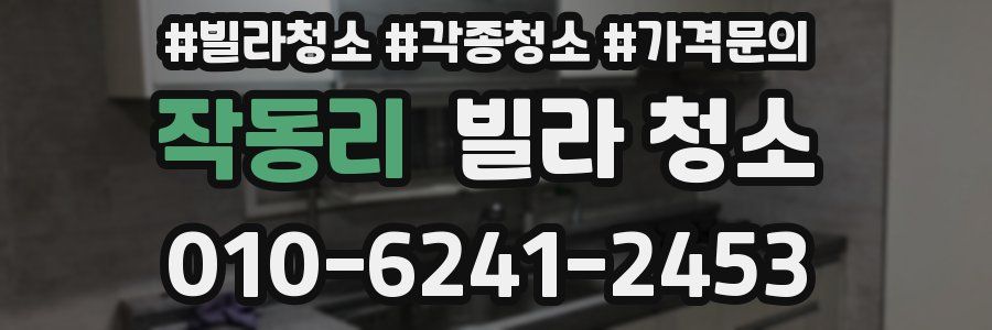 작동리 빌라 청소