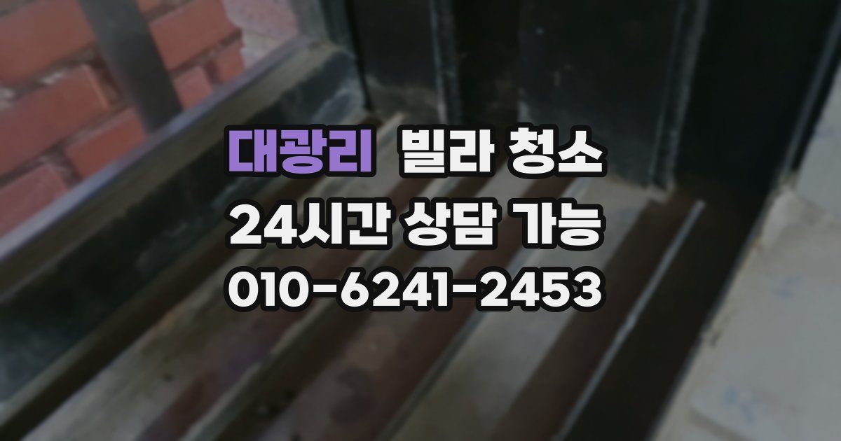 대광리 빌라 청소