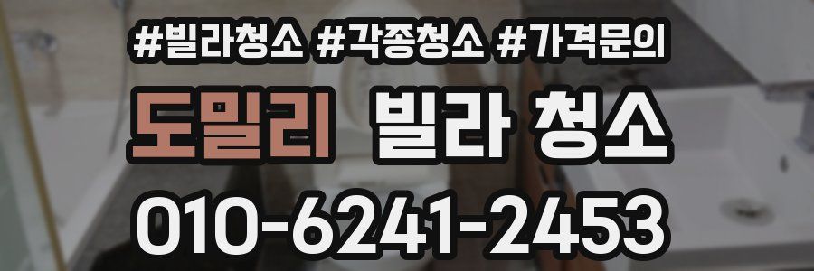 도밀리 빌라 청소