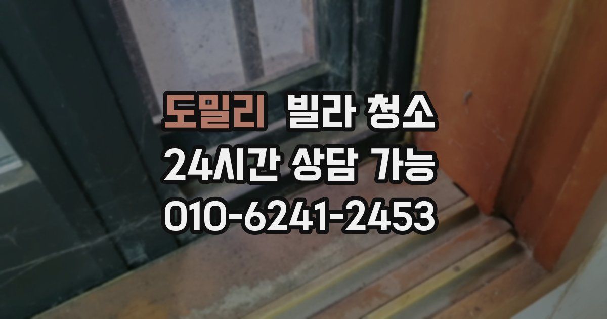 도밀리 빌라 청소