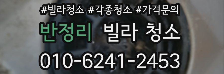 반정리 빌라 청소