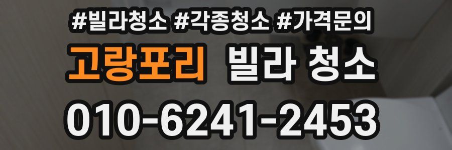 고랑포리 빌라 청소