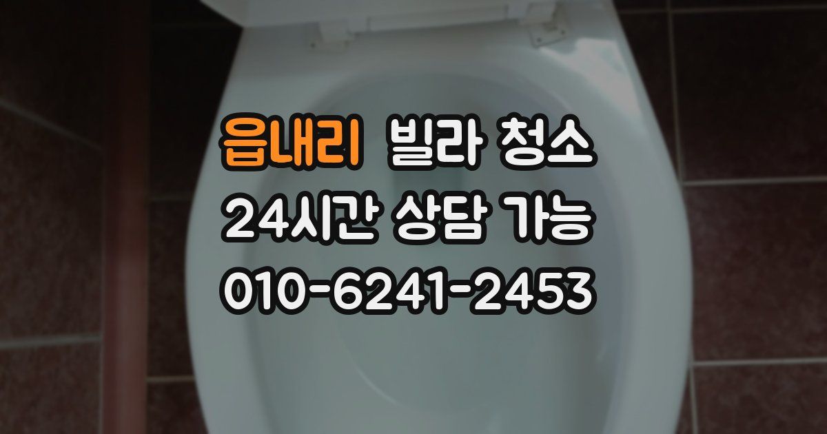 읍내리 빌라 청소