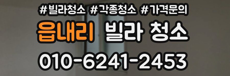 읍내리 빌라 청소