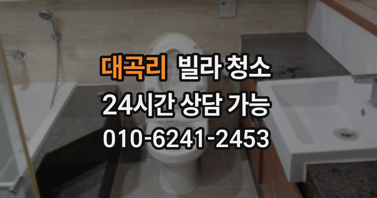 대곡리 빌라 청소