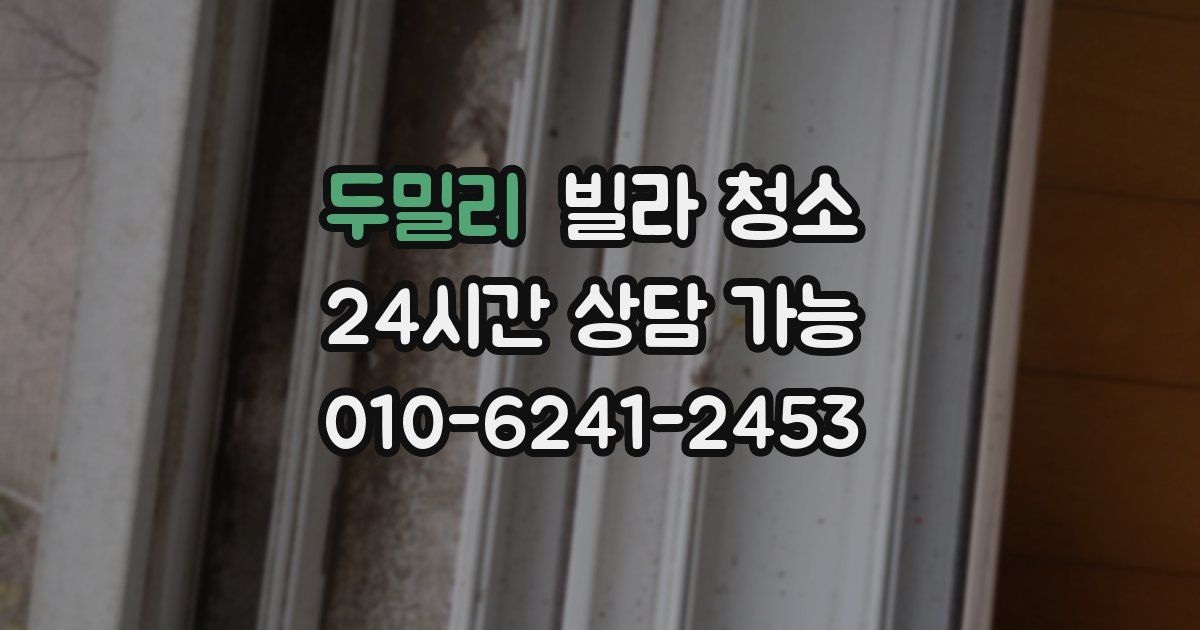 두밀리 빌라 청소