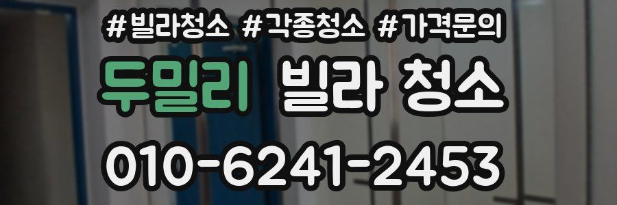 두밀리 빌라 청소