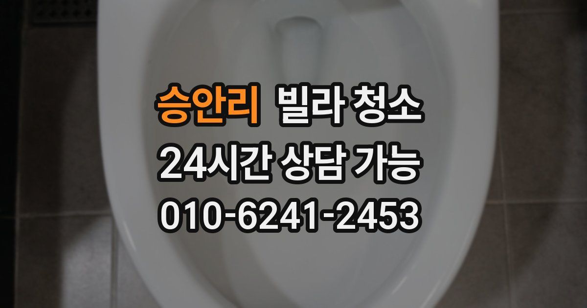 승안리 빌라 청소