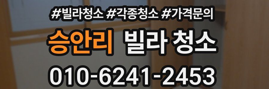 승안리 빌라 청소