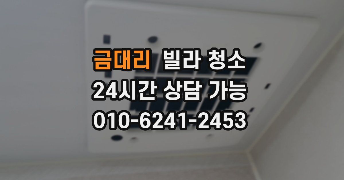 금대리 빌라 청소