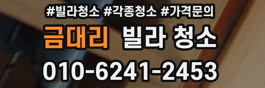 금대리 빌라 청소