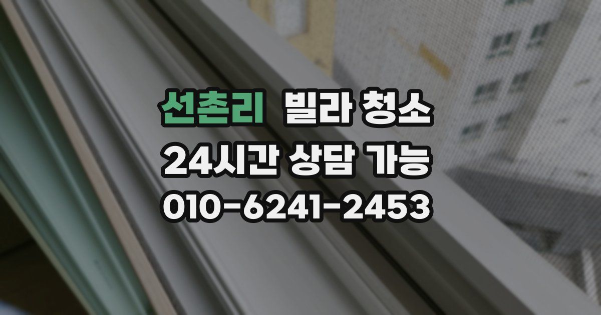 선촌리 빌라 청소