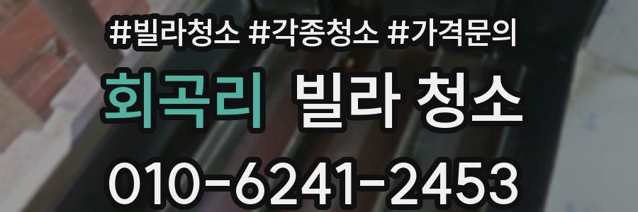 회곡리 빌라 청소