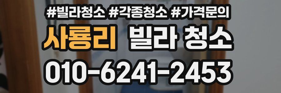 사룡리 빌라 청소
