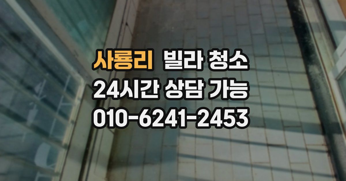 사룡리 빌라 청소