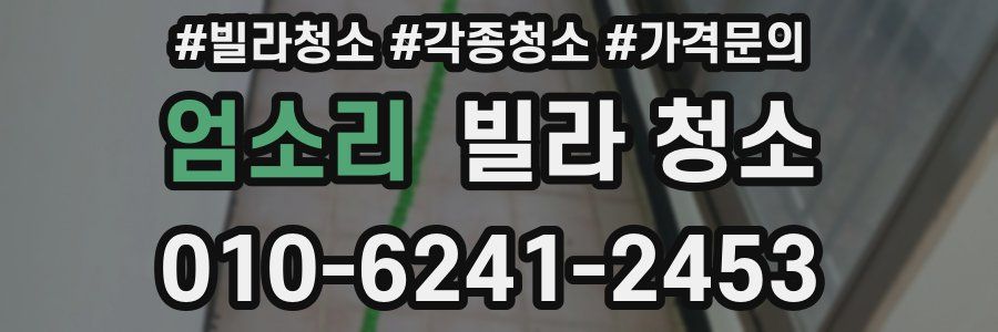 엄소리 빌라 청소