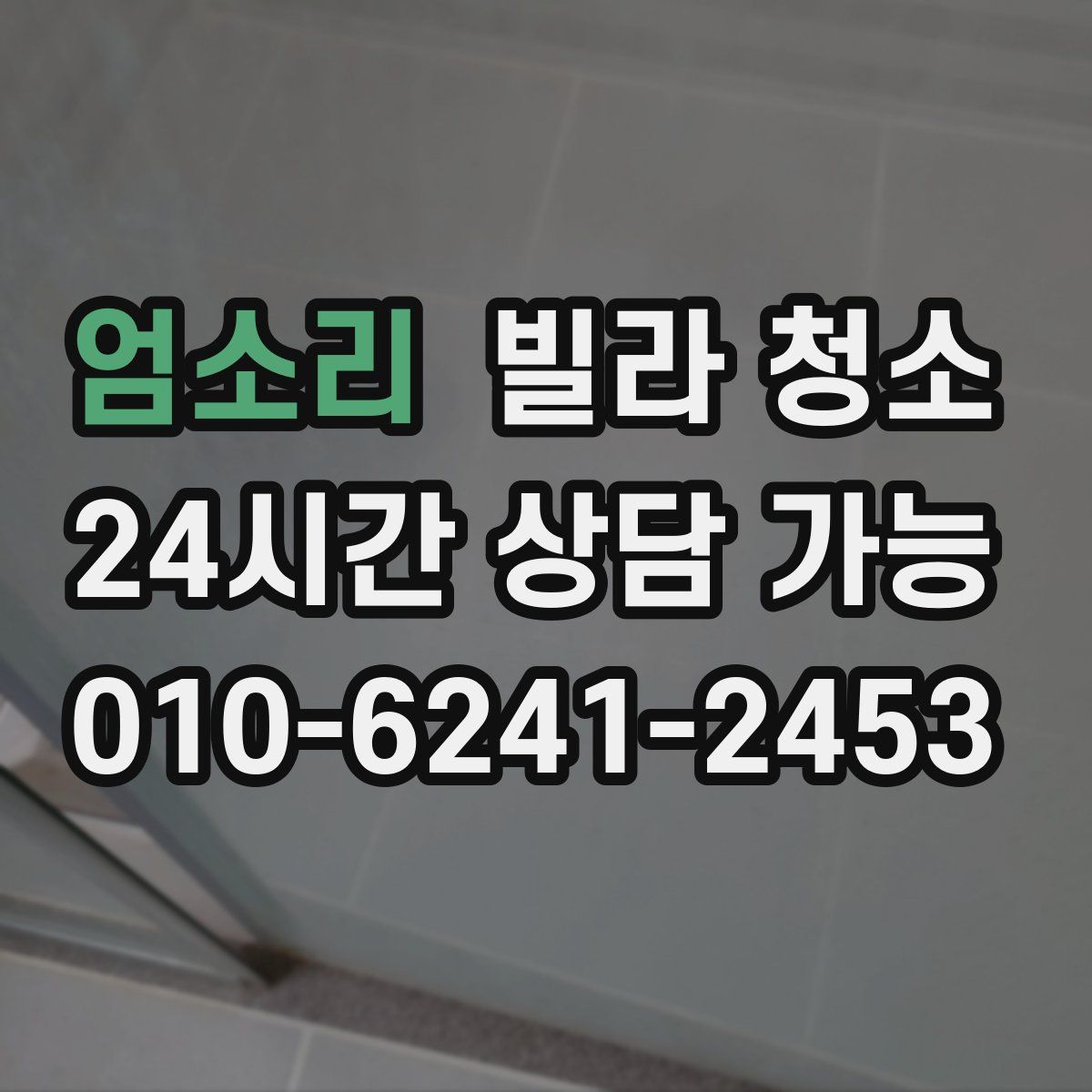 엄소리 빌라 청소