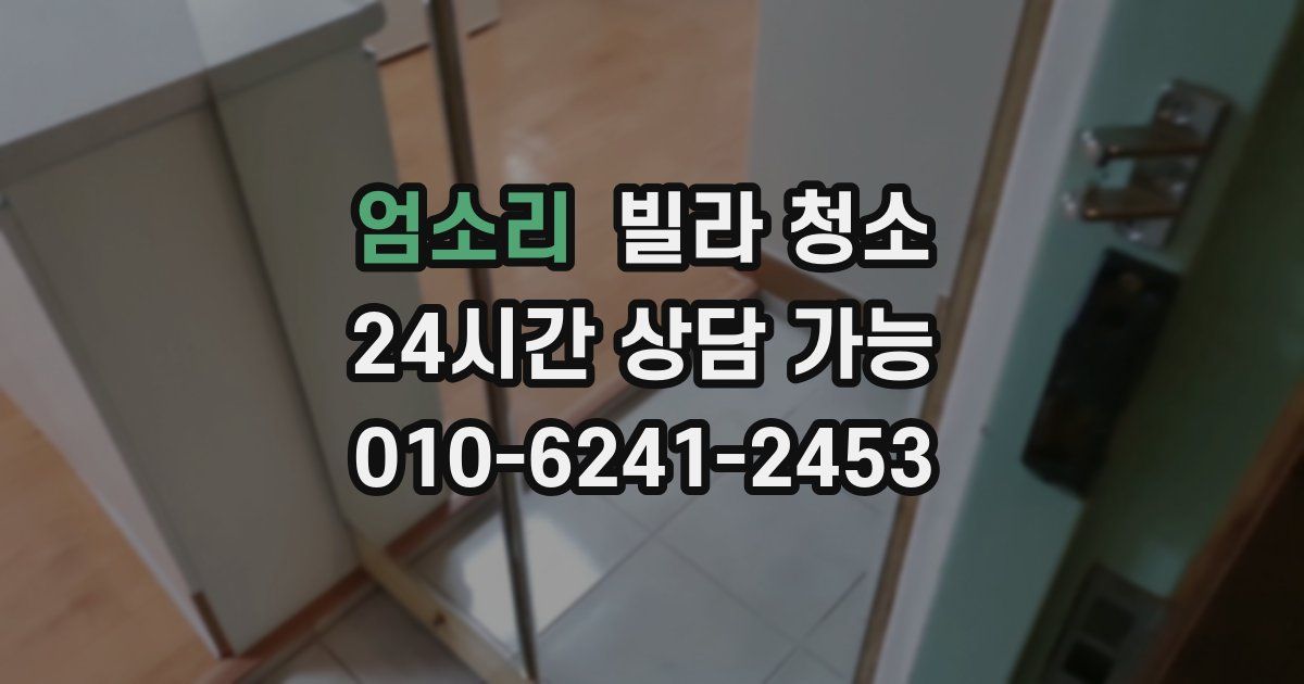 엄소리 빌라 청소