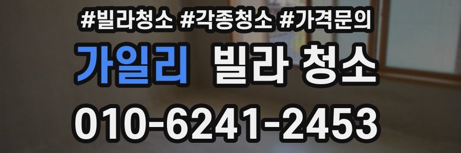 가일리 빌라 청소