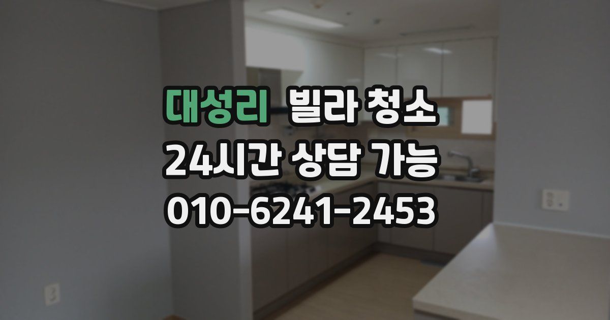 대성리 빌라 청소