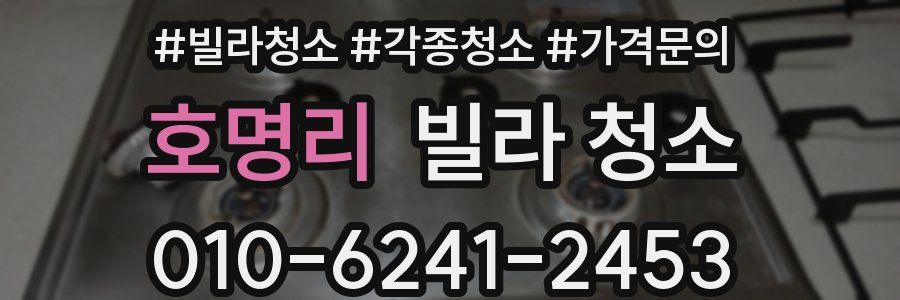 호명리 빌라 청소