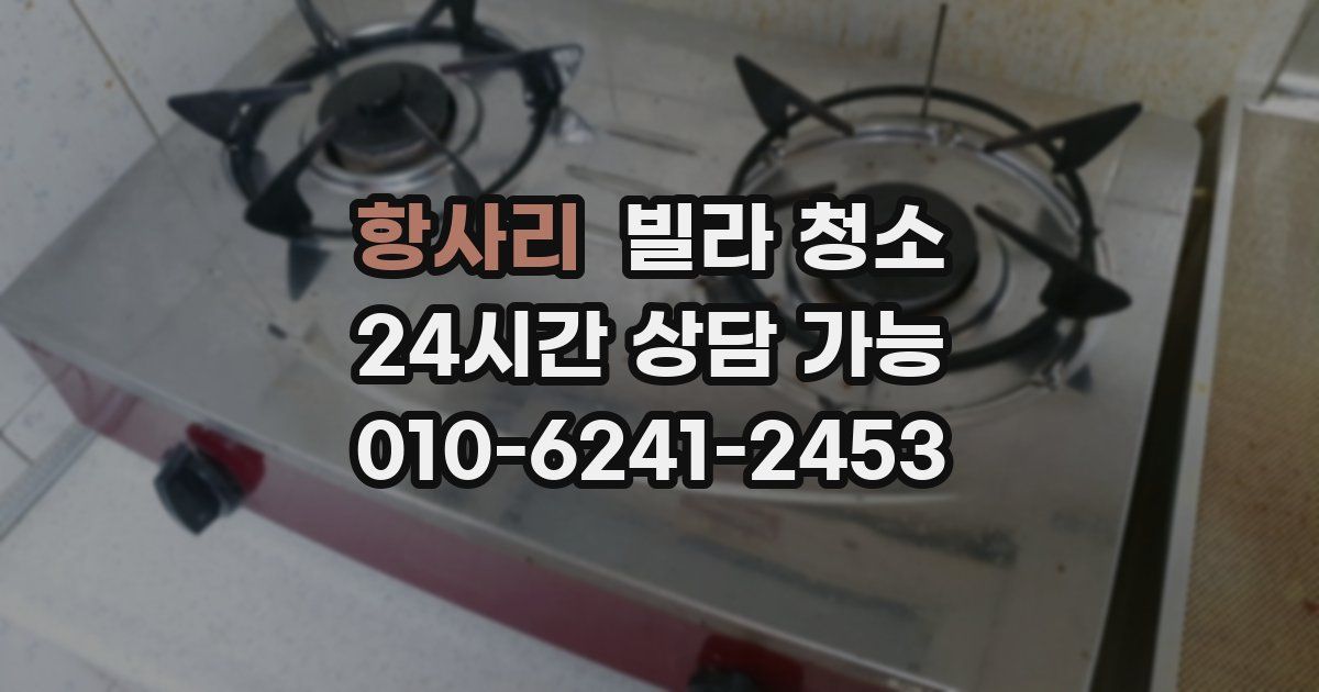 항사리 빌라 청소