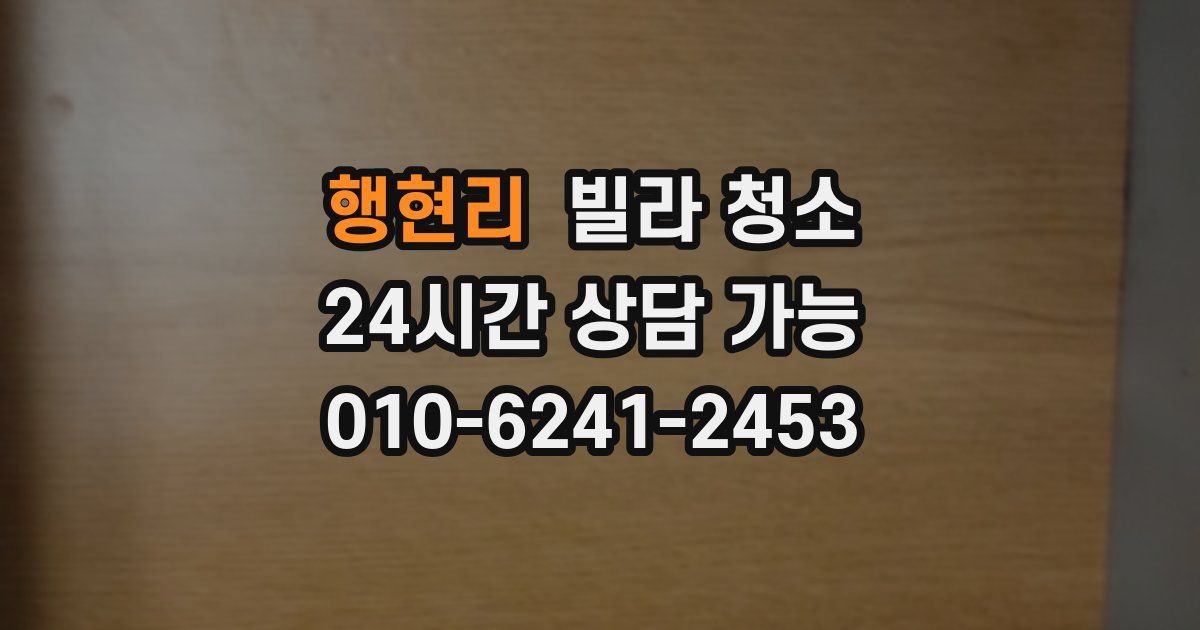 행현리 빌라 청소