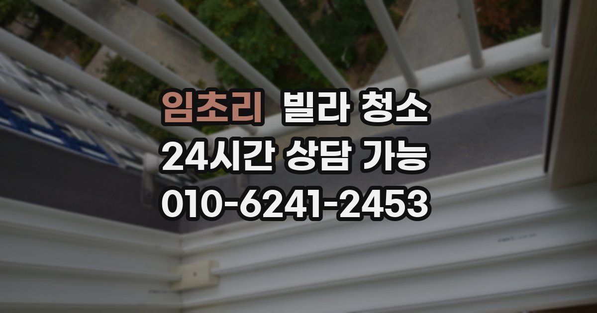 임초리 빌라 청소