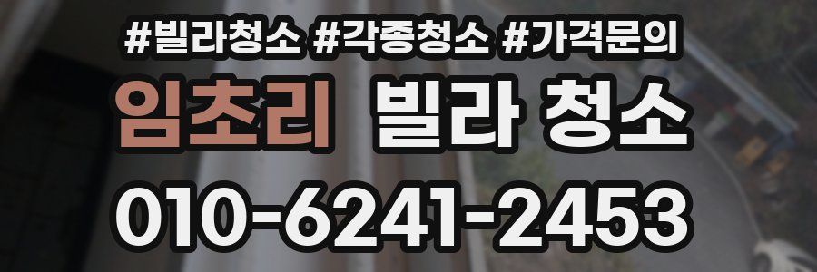 임초리 빌라 청소