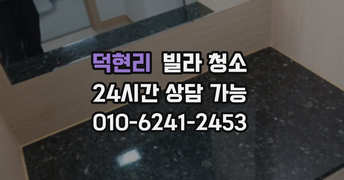 덕현리 빌라 청소