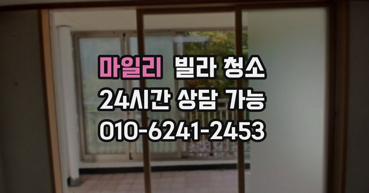 마일리 빌라 청소