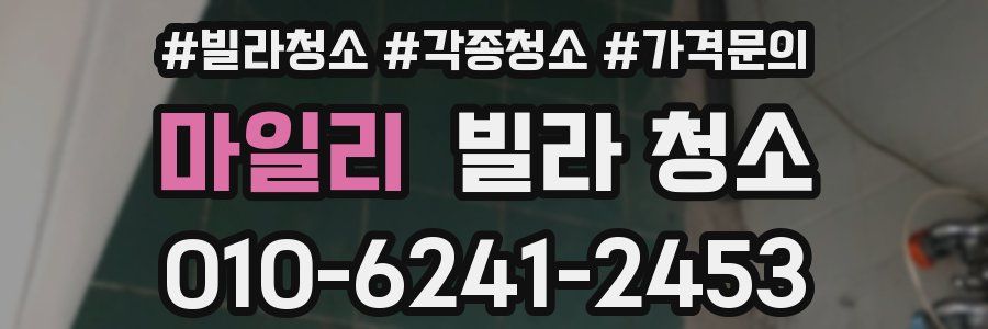 마일리 빌라 청소