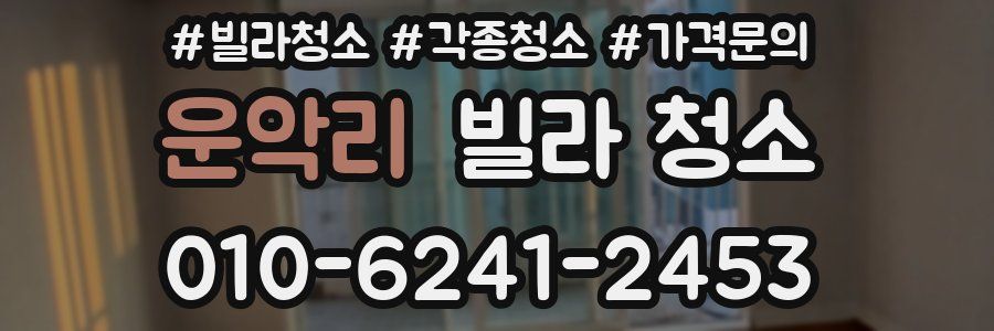 운악리 빌라 청소