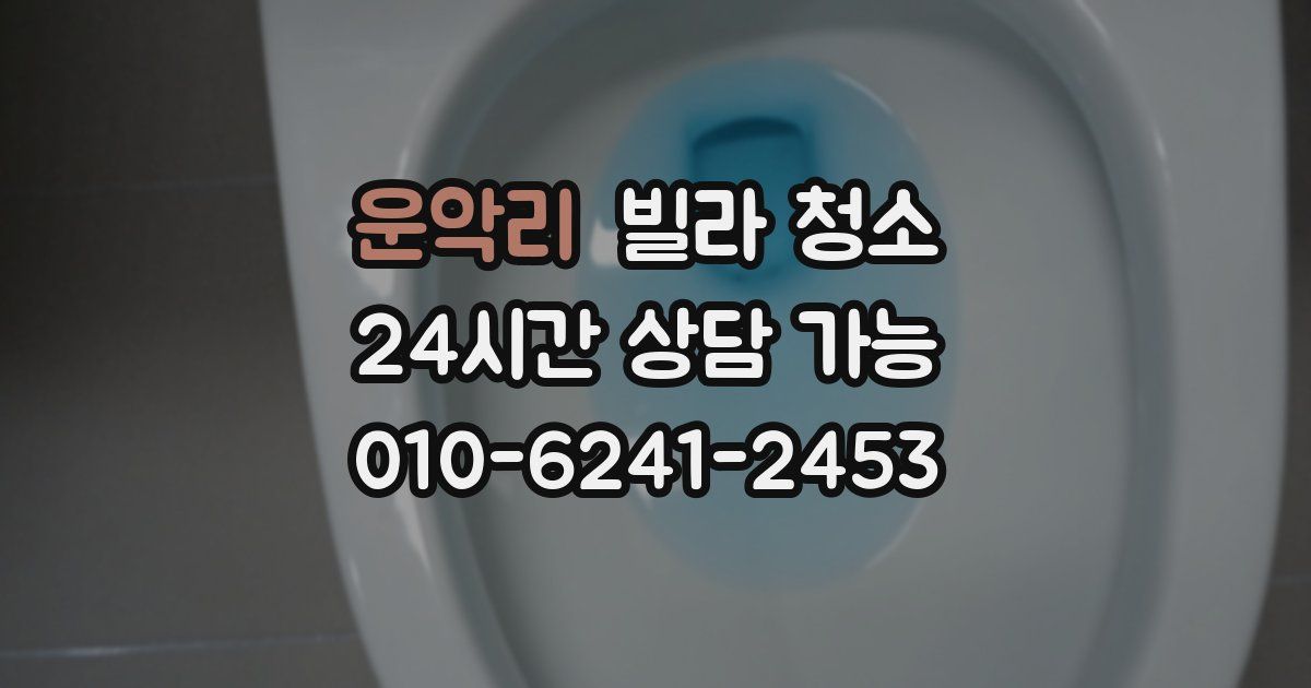 운악리 빌라 청소