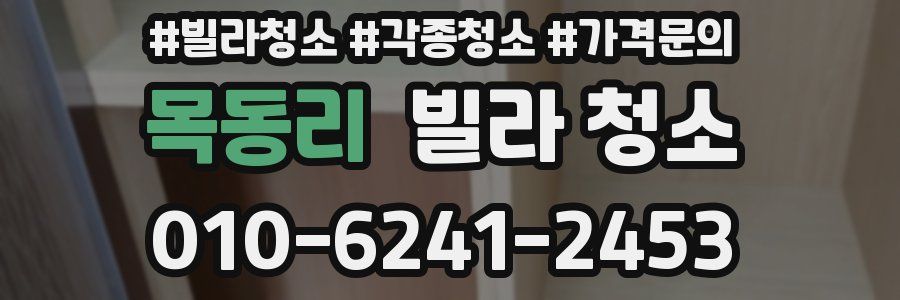 목동리 빌라 청소