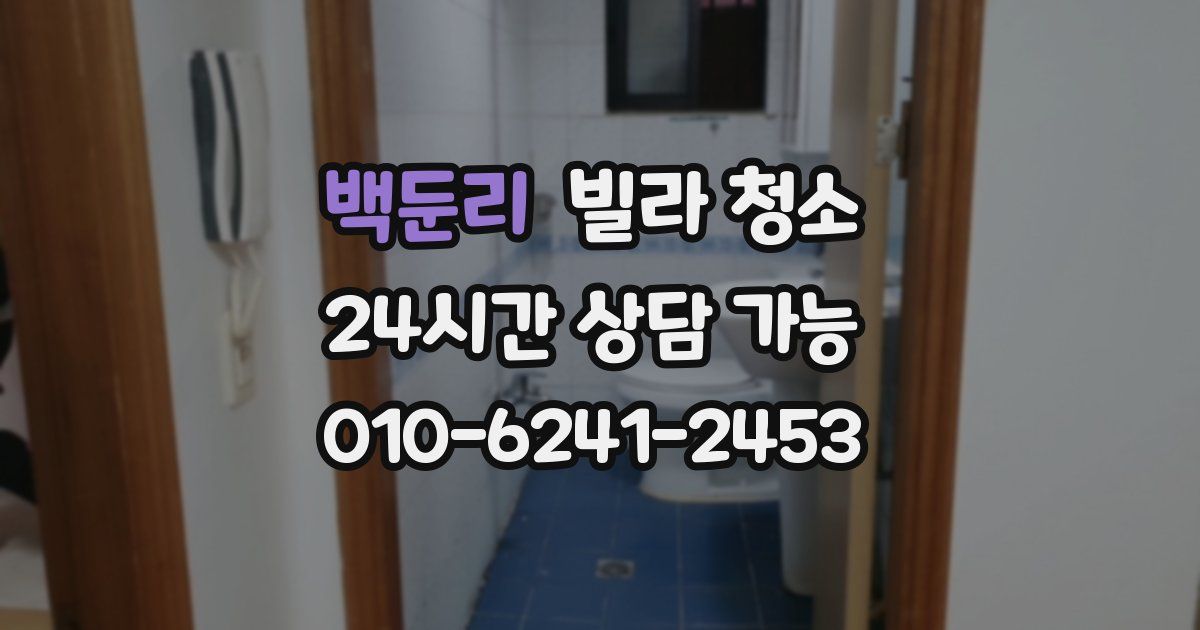 백둔리 빌라 청소