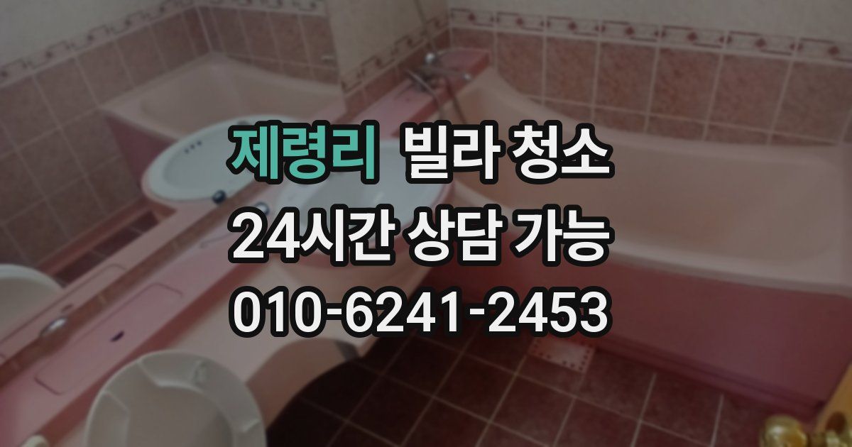 제령리 빌라 청소