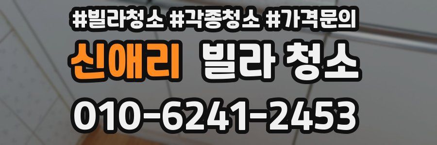 신애리 빌라 청소