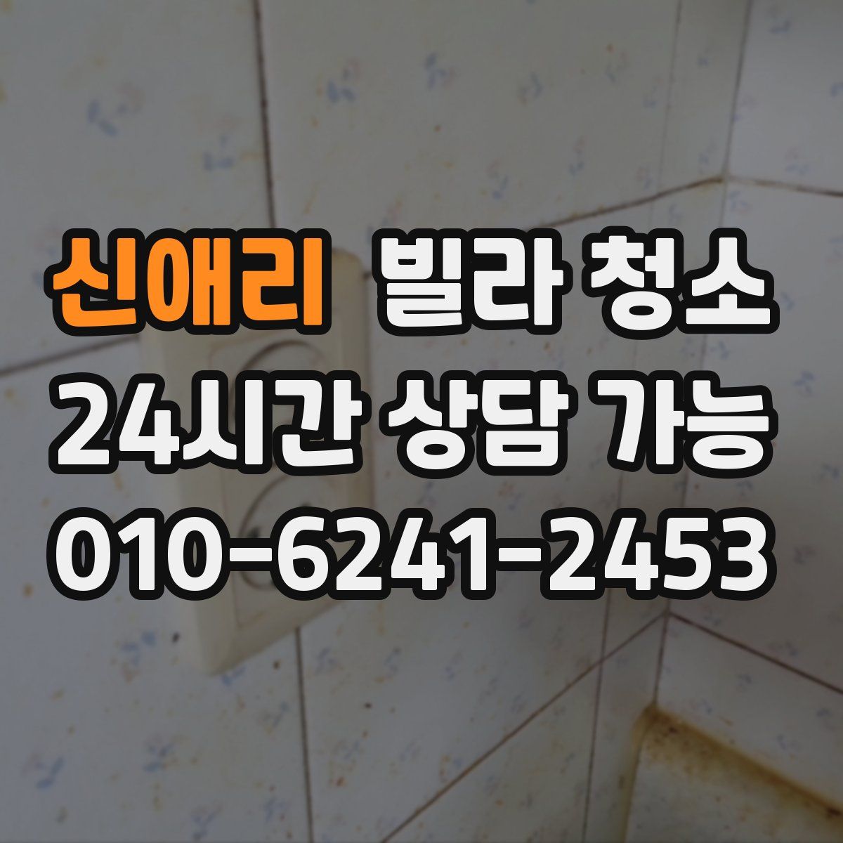 신애리 빌라 청소