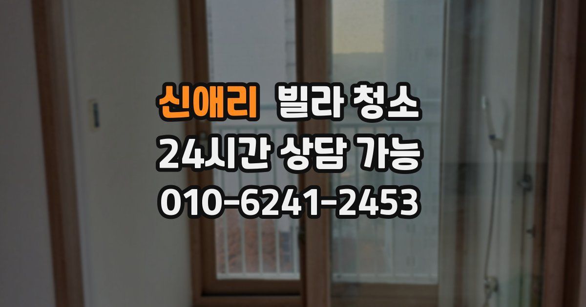 신애리 빌라 청소
