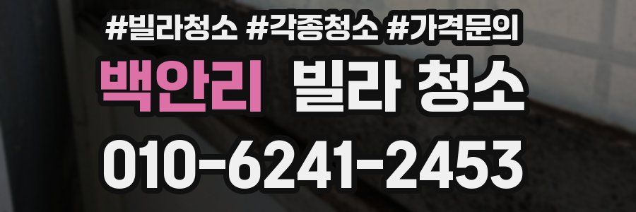 백안리 빌라 청소