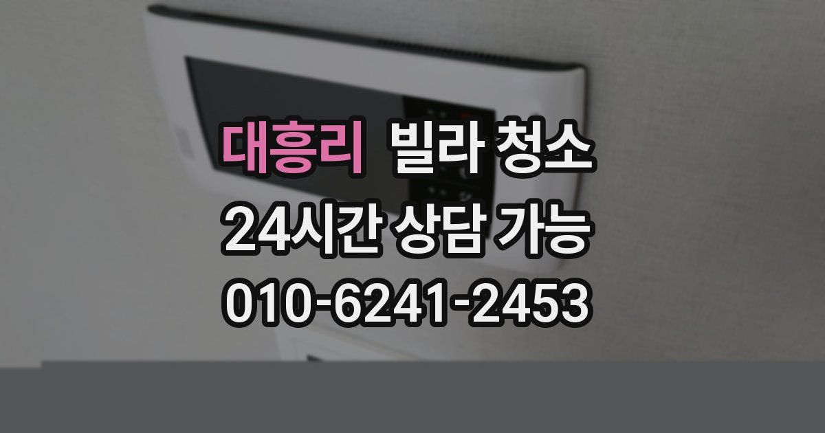 대흥리 빌라 청소