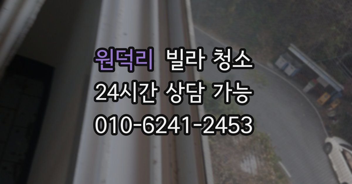 원덕리 빌라 청소