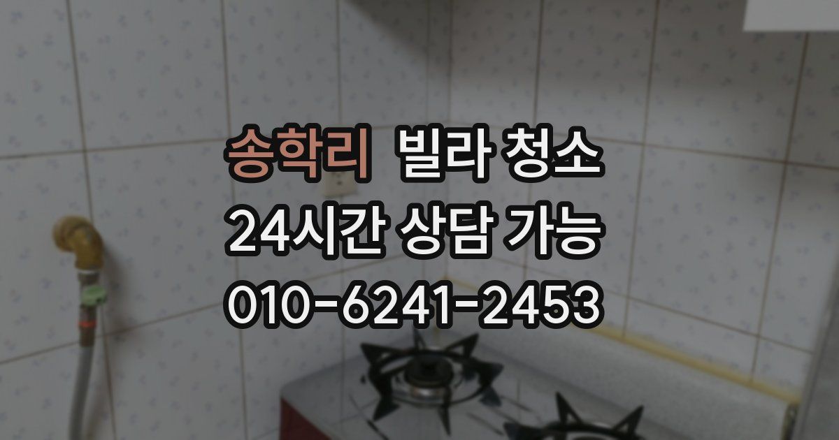 송학리 빌라 청소